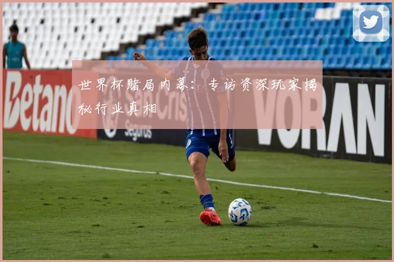 世界杯赌局内幕：专访资深玩家揭秘行业真相