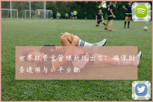 世界杯资金管理新规出台：确保财务透明与公平分配