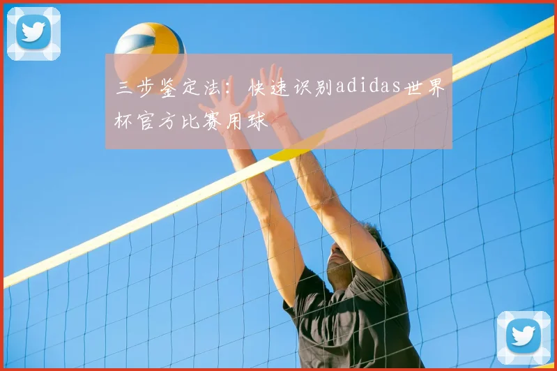 三步鉴定法：快速识别adidas世界杯官方比赛用球