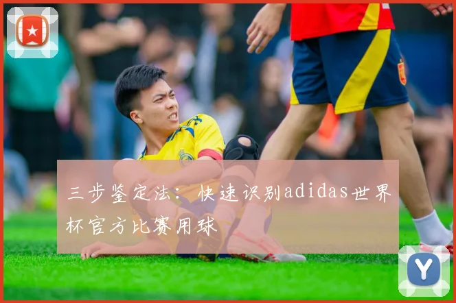三步鉴定法：快速识别adidas世界杯官方比赛用球