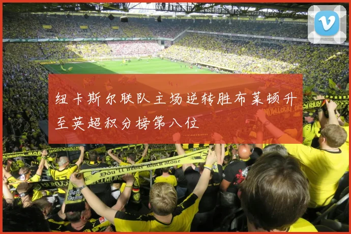 纽卡斯尔联队主场逆转胜布莱顿升至英超积分榜第八位